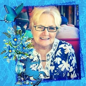 Meet your Posher, Sandy